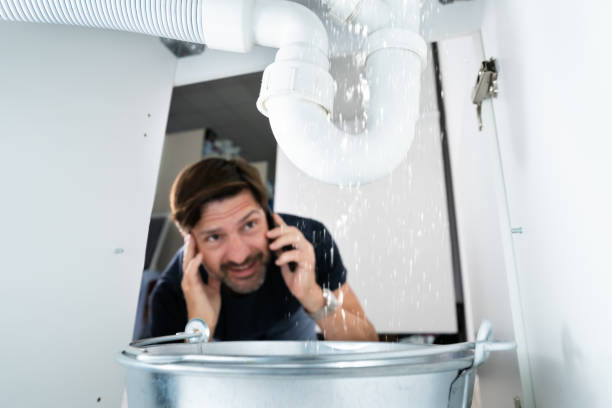 Best Clogged Drain Plumber  in Rockdale, IL