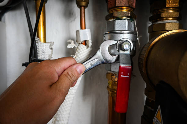 Best Commercial Plumbing Services  in Rockdale, IL